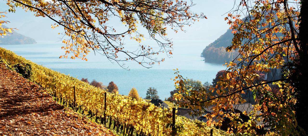victoria_jungfrau_hotel_hotel_destination_interlaken