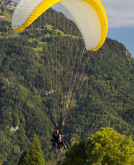 victoria_jungfrau_hotel_hotel_destination_interlaken