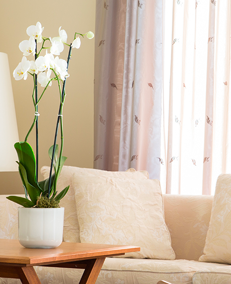 victoria_jungfrau_hotel_interlaken_suiten_zimmer_spa_suites_belair
